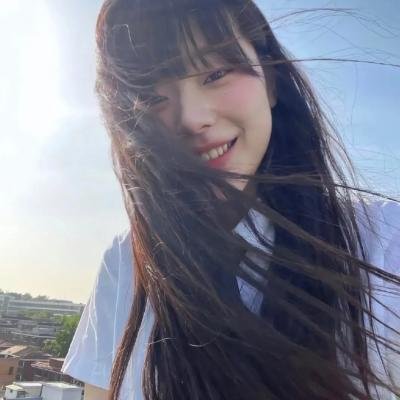 闪电狗